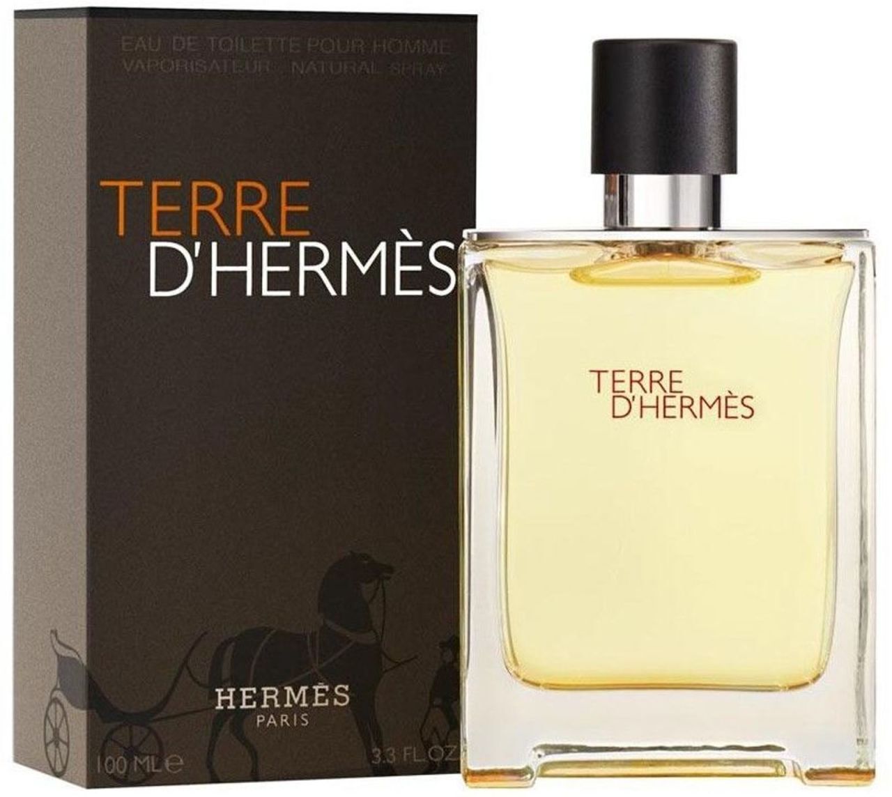 TERRE D' HERMES 100ML