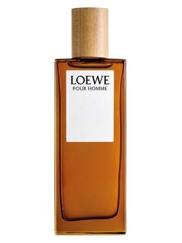 Loewe Pour Homme Edt 100 Ml