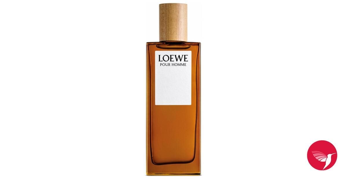 Loewe Pour Homme Edt 100 Ml