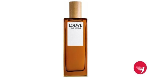 LOEWE POUR HOMME EDT 100ML