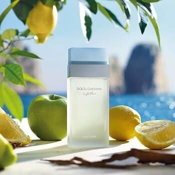 DOLCE GABBANA LİGHT BLUE EDT 100ML